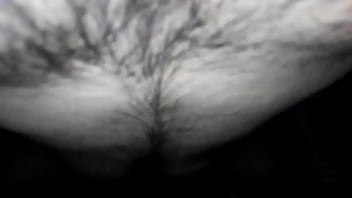 Brazzers Madar