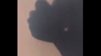 Ass Prgy