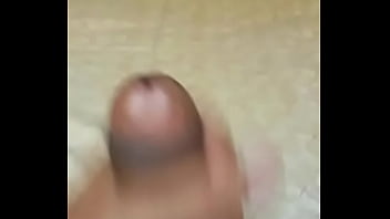 Elisa Fd
