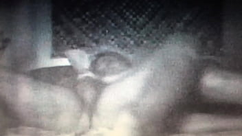 Sarah Wayne Callies Sex