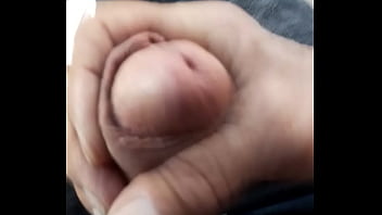 Bfseksi
