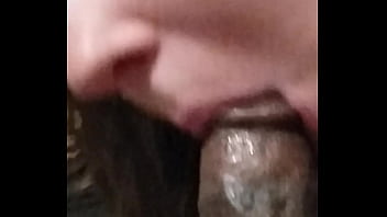 Dagalea