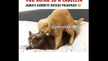 Xxxxxvifeos Dounlod