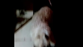 Cg Video My 3