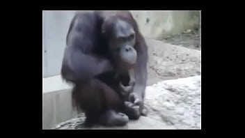 Sex Sampai Muncrat
