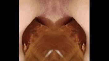 F Ull Hd Video Xxx