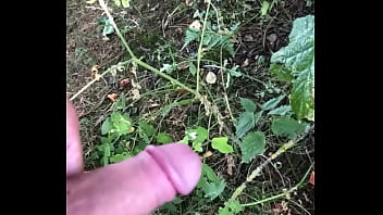 Asian Blonde Bus Fingering Xojav
