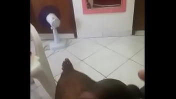 Shap Of Water