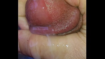 Porn Stars Video Hd