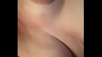 Compaera Chibolita