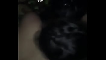 Xxxstroy