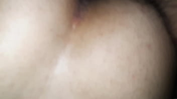 Insex Cm