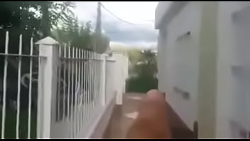 Hayvon Va Odam Seks