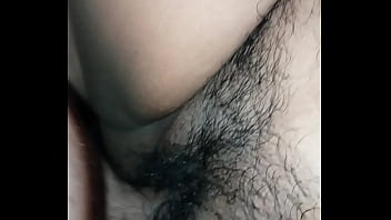 Human Sex And Anidmals