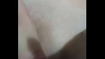 Grooming Horse