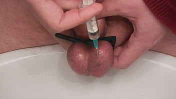 Tsetsi Hairy Amprit