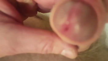 Gurita Sex