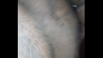 Animal Vedeo
