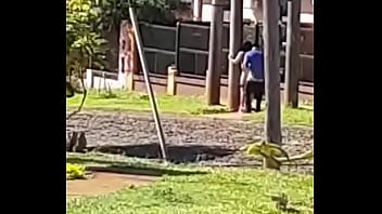 Uta Locura