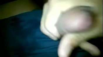 Bavoli