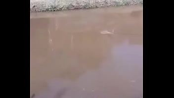 Indian Hindi Porn Vedeo