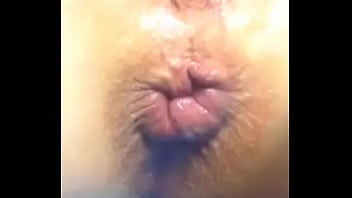 Sexgaii