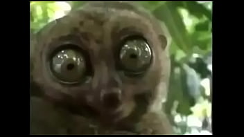 Tubey Lol