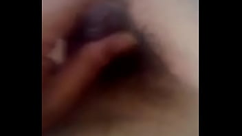Stylis