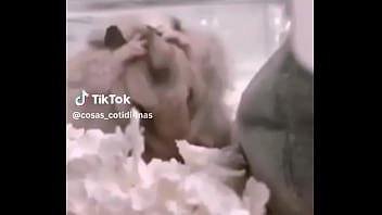 Ktreena Keef Xxx Photos Videos
