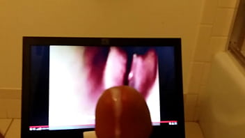 Zoom Penis