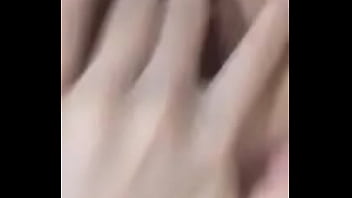 Hairy Small Tessa