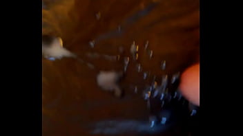 Phard F