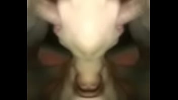3p Gay