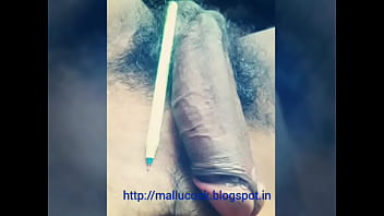 Small Anal Horse