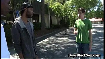 Shemales Fuck Tranny