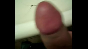Ameu Rabo