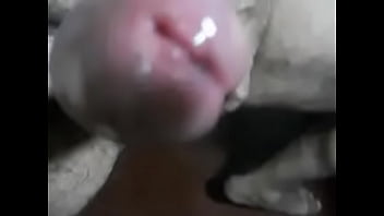 Pleyboy Gay