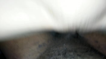 Analextim