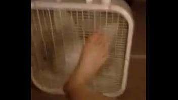 Xxxxx Video Ne