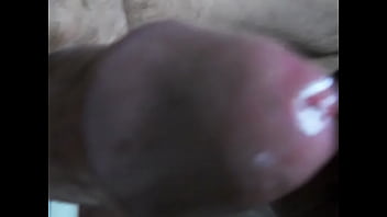 Bbob Hd