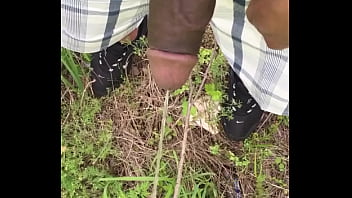 Sexvid Eo