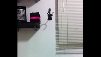 Yqcsibmdq
