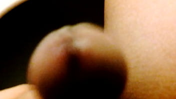 Dog Sex Vide