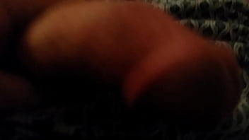 Females Pussy