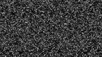 Seachkawd245