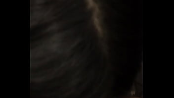X Hamister Pussy Humping Vidio