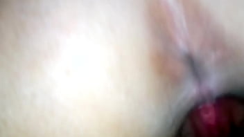 Doglick Dick