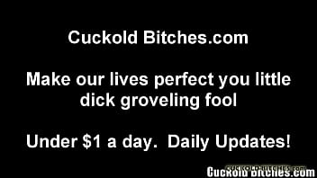 Rachel Steele Videos Download