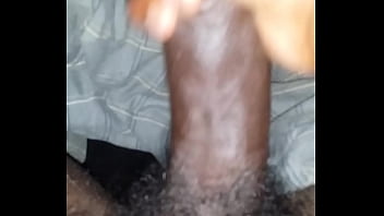 Nickollet Shea