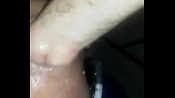 Hd Sex Dog Fort Networks